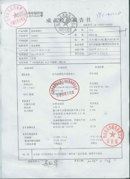 140902美洛昔康片