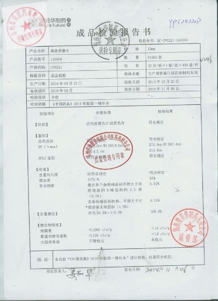 140904美洛昔康片