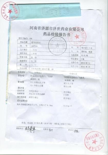 1407091健胃消食片