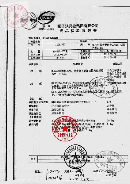 14081922银杏叶片