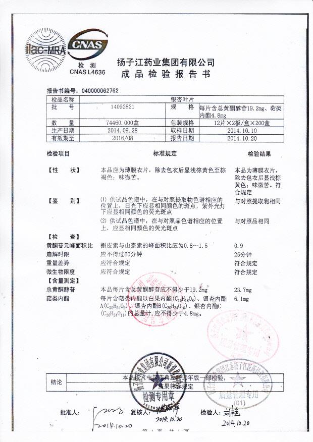 14092821银杏叶片