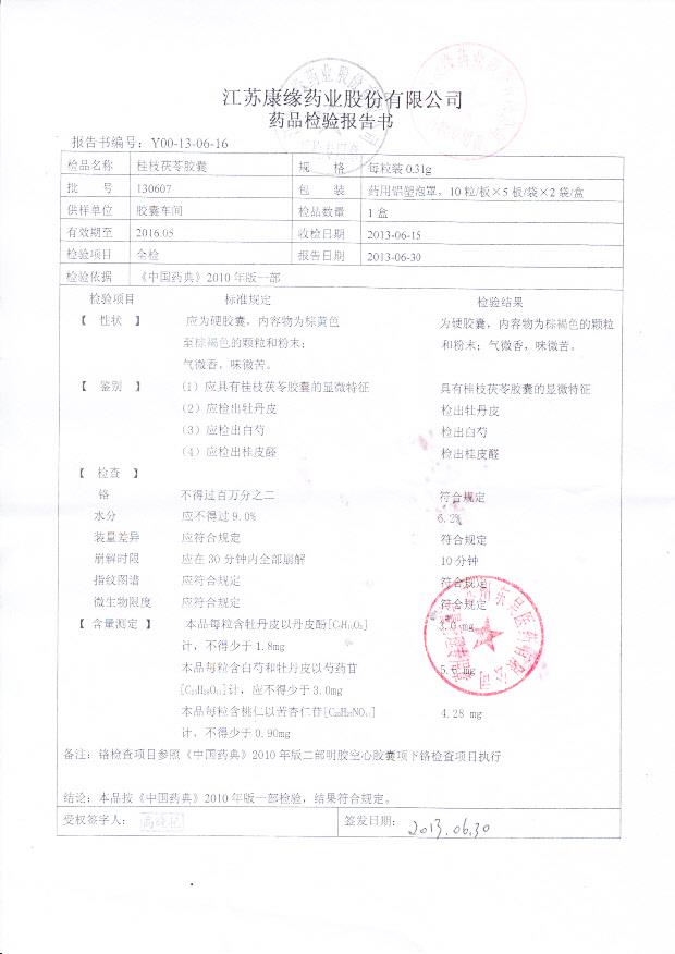 130607桂枝茯苓胶囊