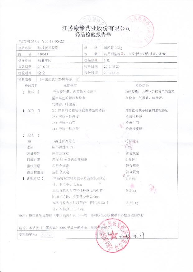 130613桂枝茯苓胶囊