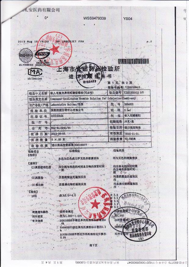 3984001吸入用复方异丙托溴铵溶液2