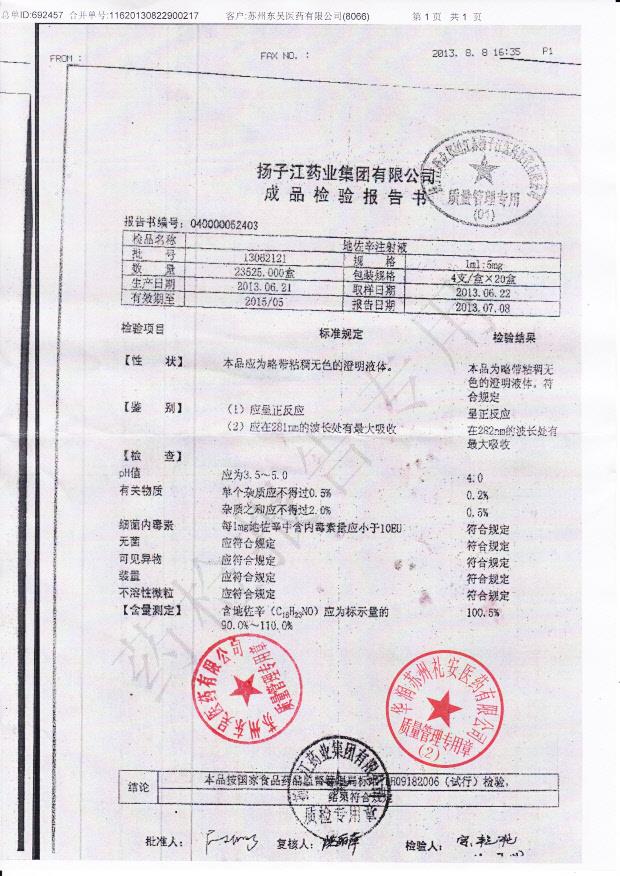 13062121地佐辛注射液