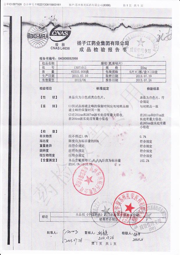 13071011氟康唑片_0002