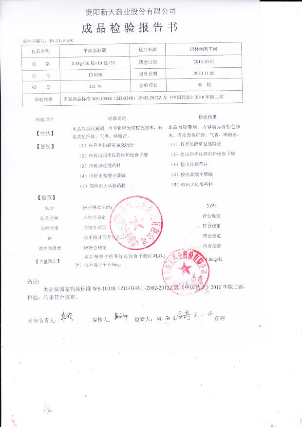 131008宁泌泰胶囊