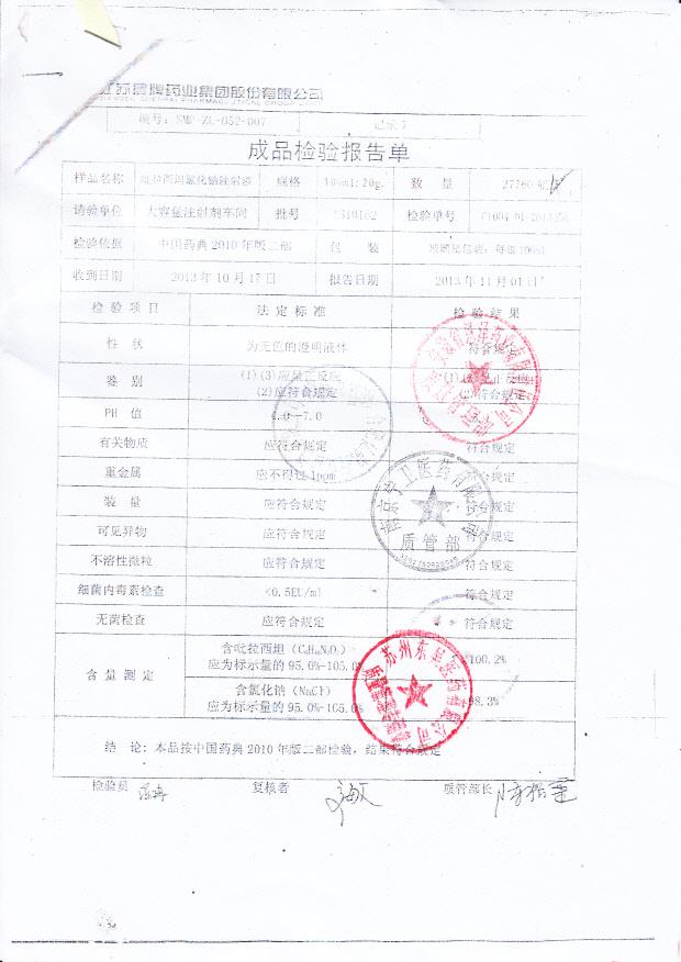 1310162吡拉西坦氯化钠注射液_0001