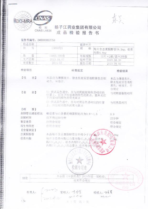 13080721银杏叶片