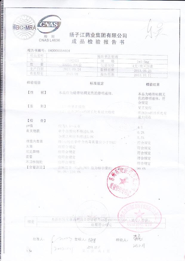 13092421地佐辛注射液