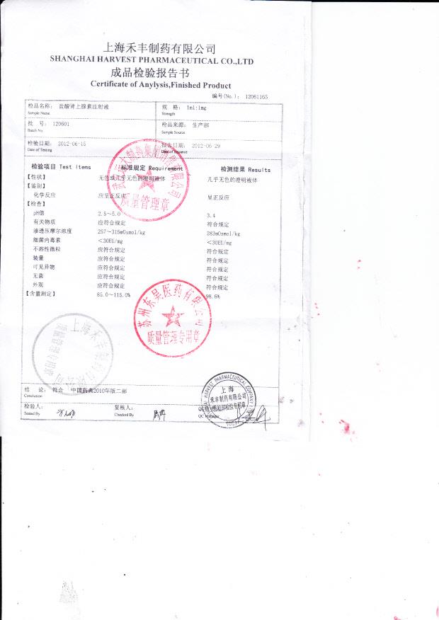 120601盐酸肾上腺素注射液