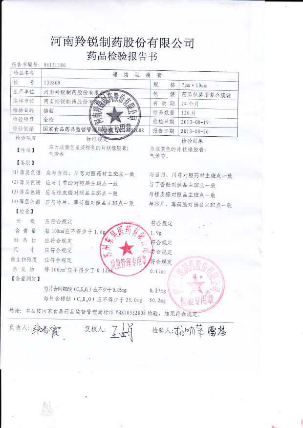 130809通络祛痛膏