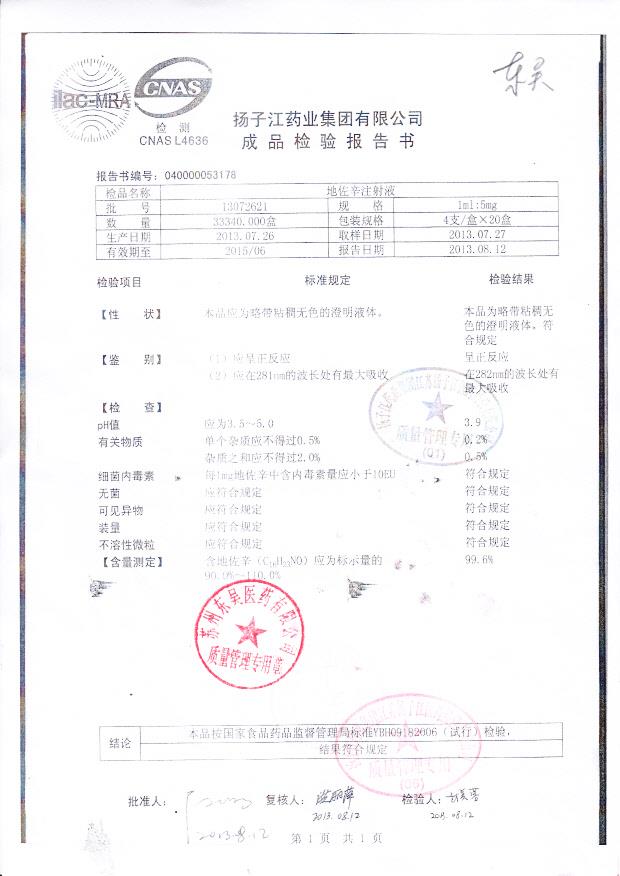 13072621地佐辛注射液