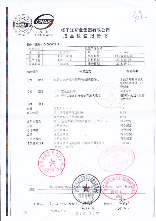 13100521地佐辛注射液