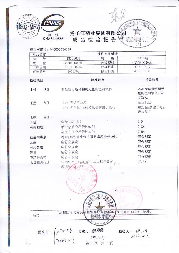 13101621地佐辛注射液