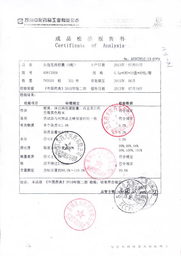 40813009头孢克洛胶囊