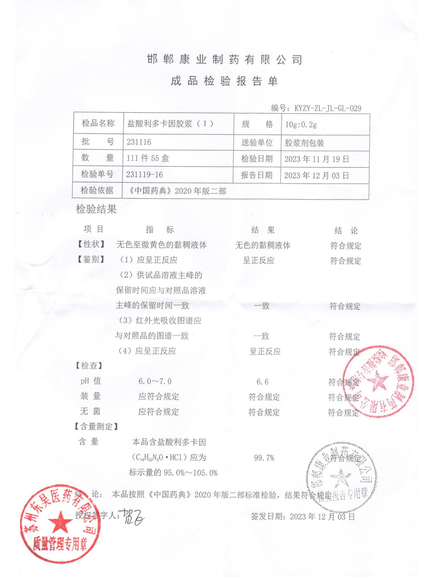 231116盐酸利多卡因胶浆