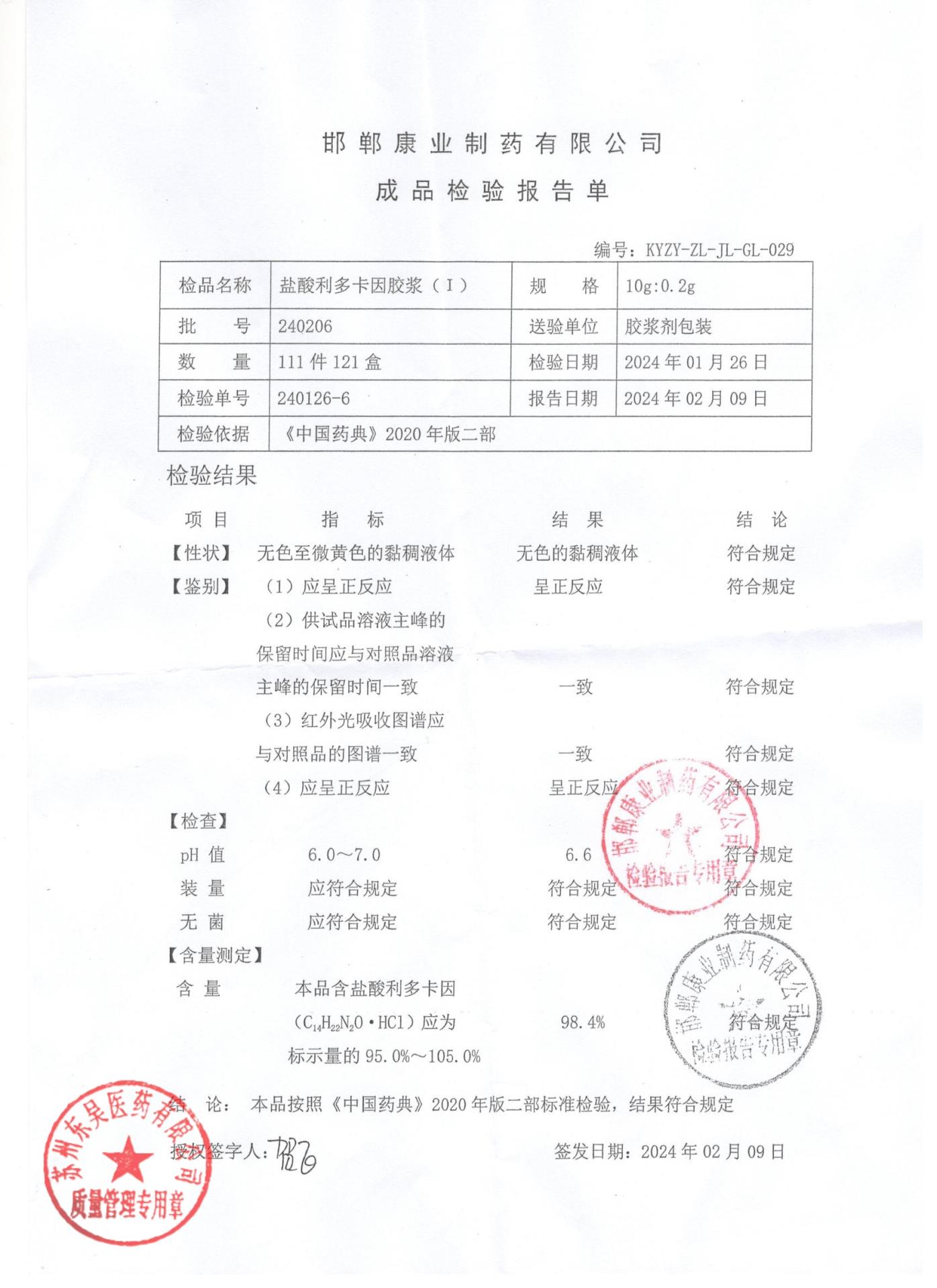 240206盐酸利多卡因胶浆