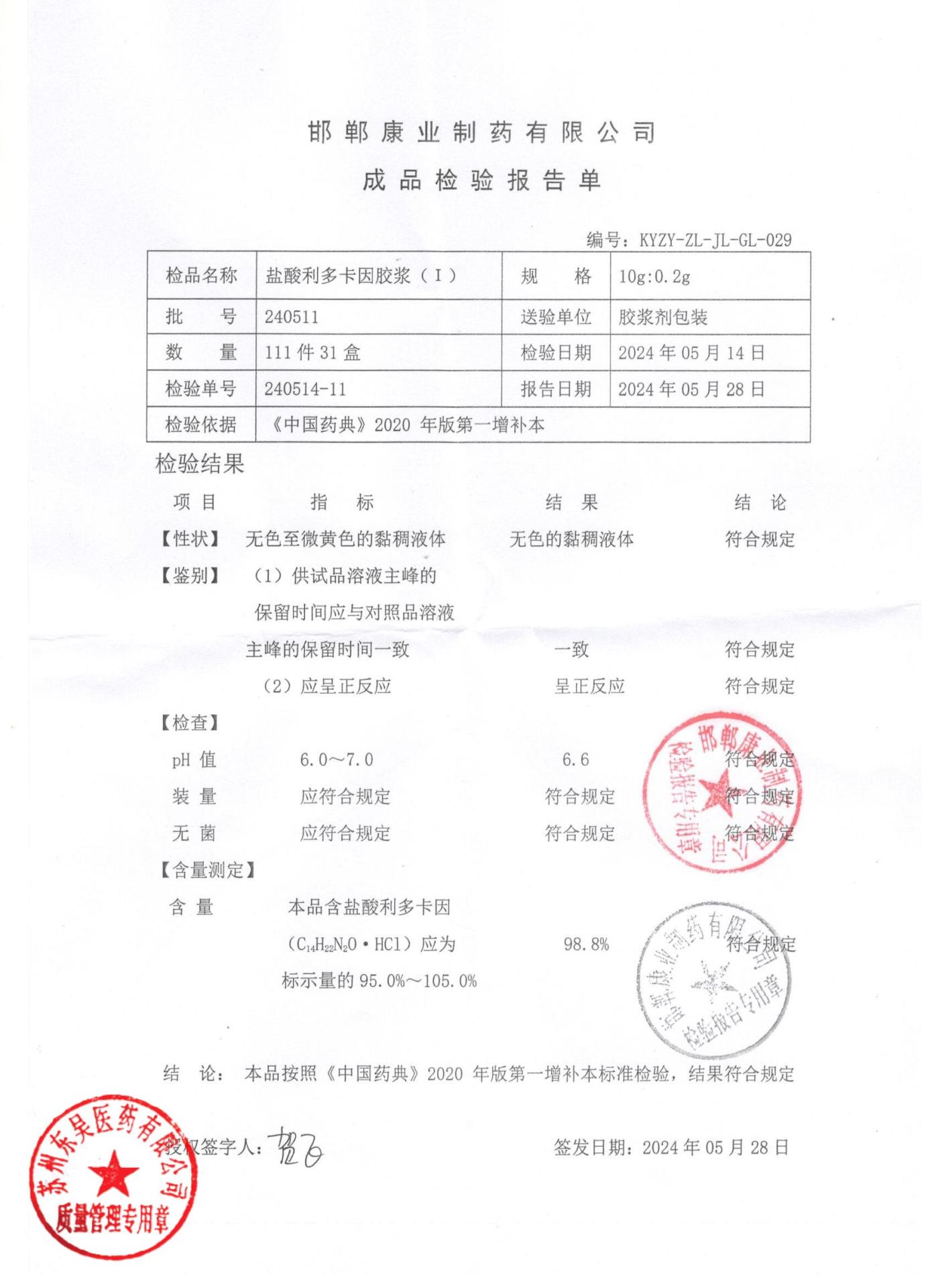 240511盐酸利多卡因胶浆