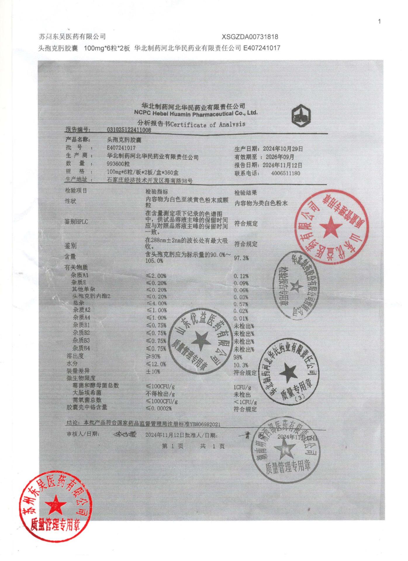 E407241017头孢克肟胶囊