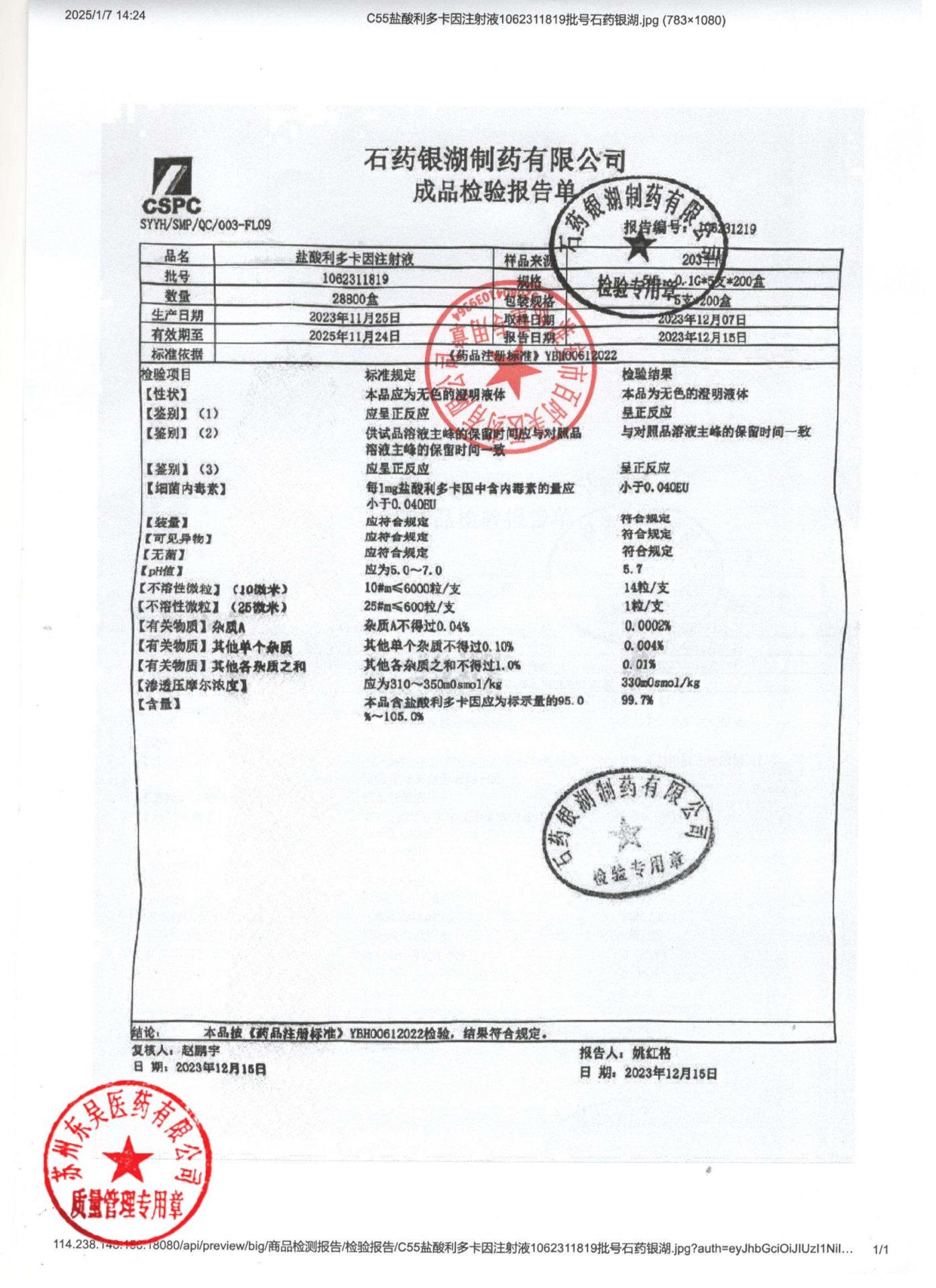 1062311819盐酸利多卡因注射液