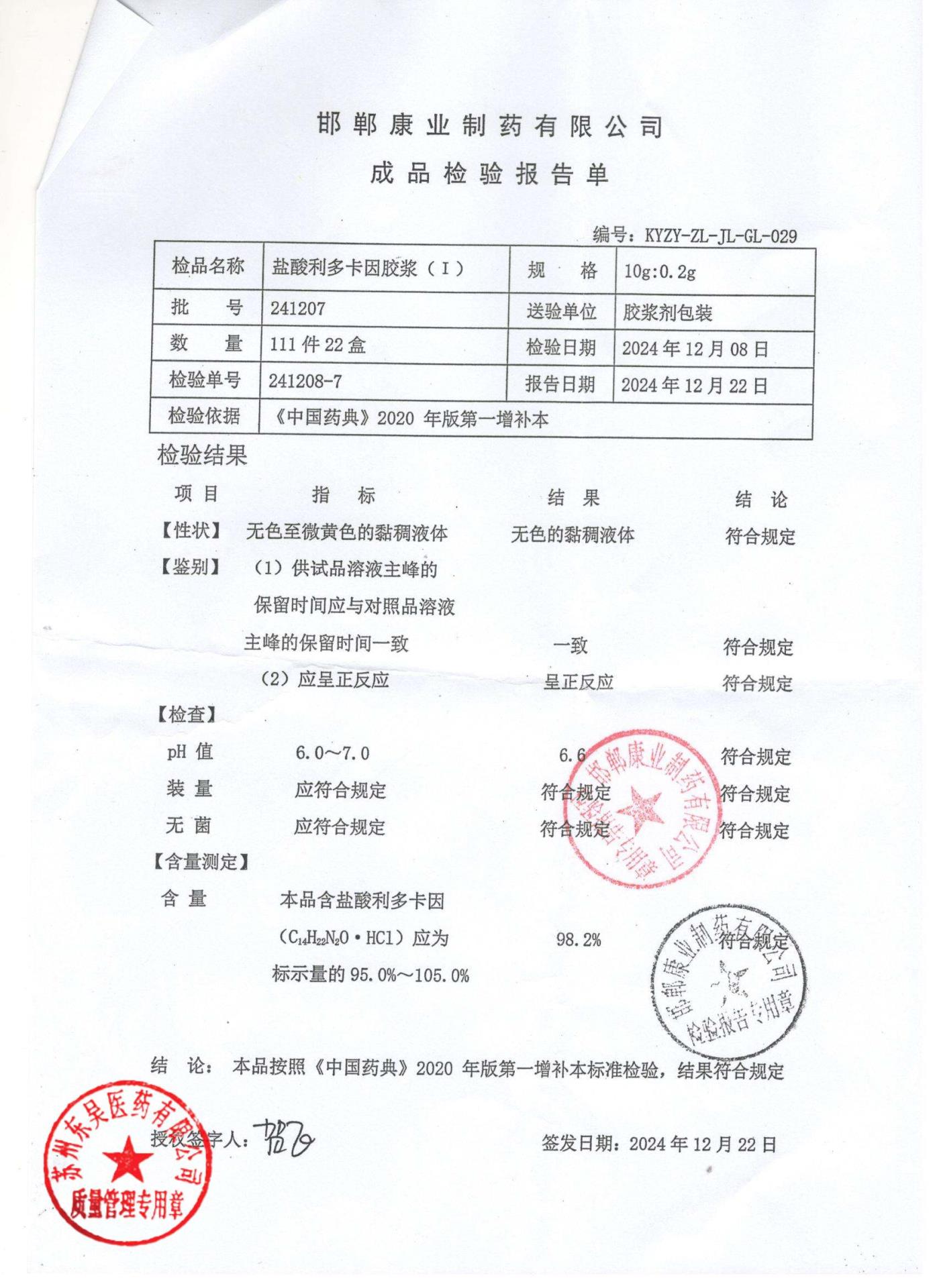 241207盐酸利多卡因胶浆