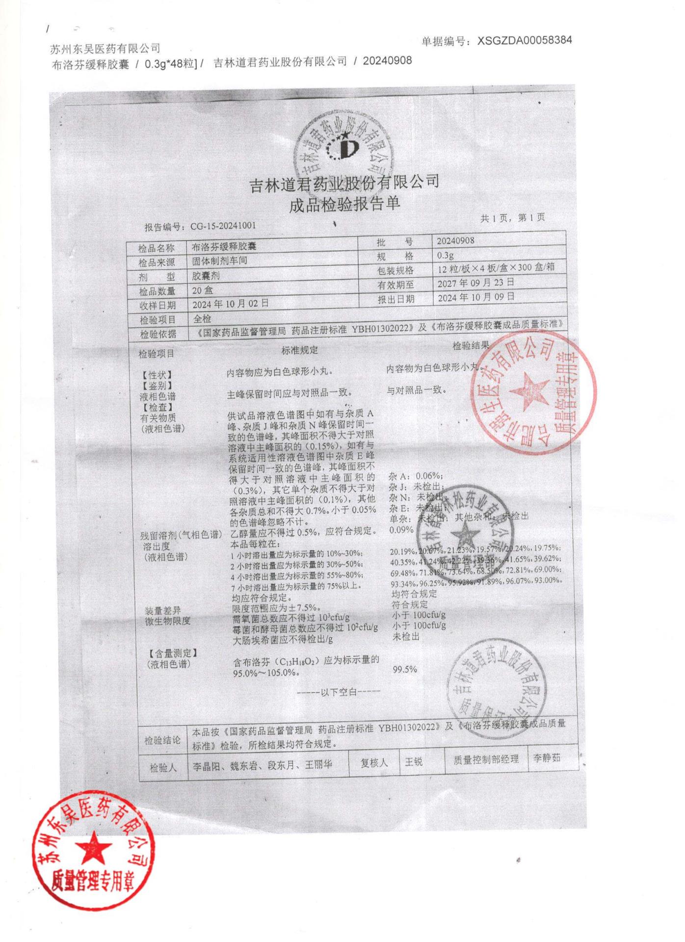 20240908布洛芬缓释胶囊