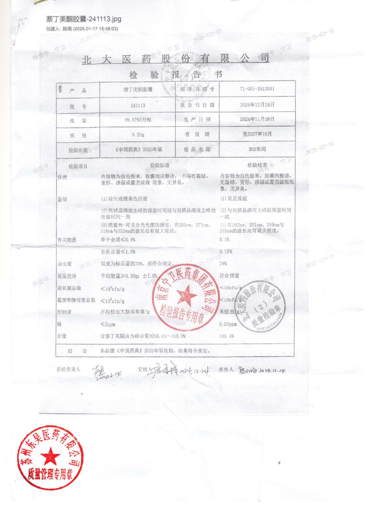 241113萘丁美酮胶囊