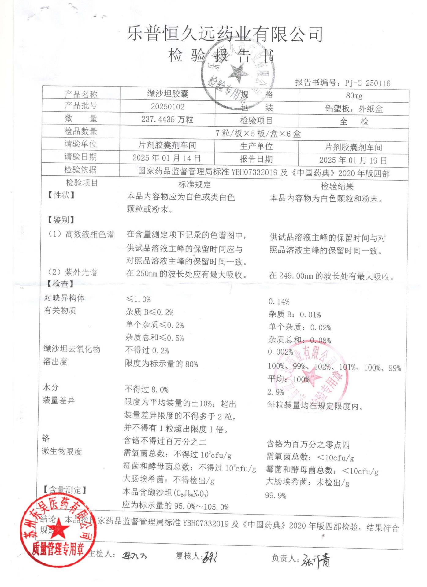 20250102缬沙坦胶囊