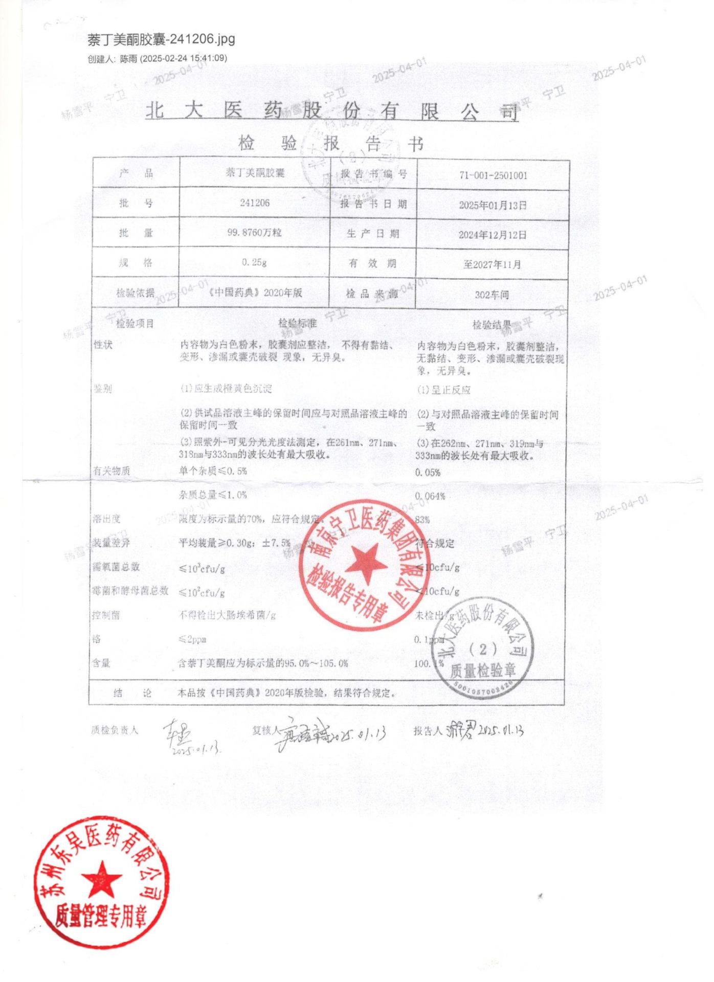 241206萘丁美酮胶囊