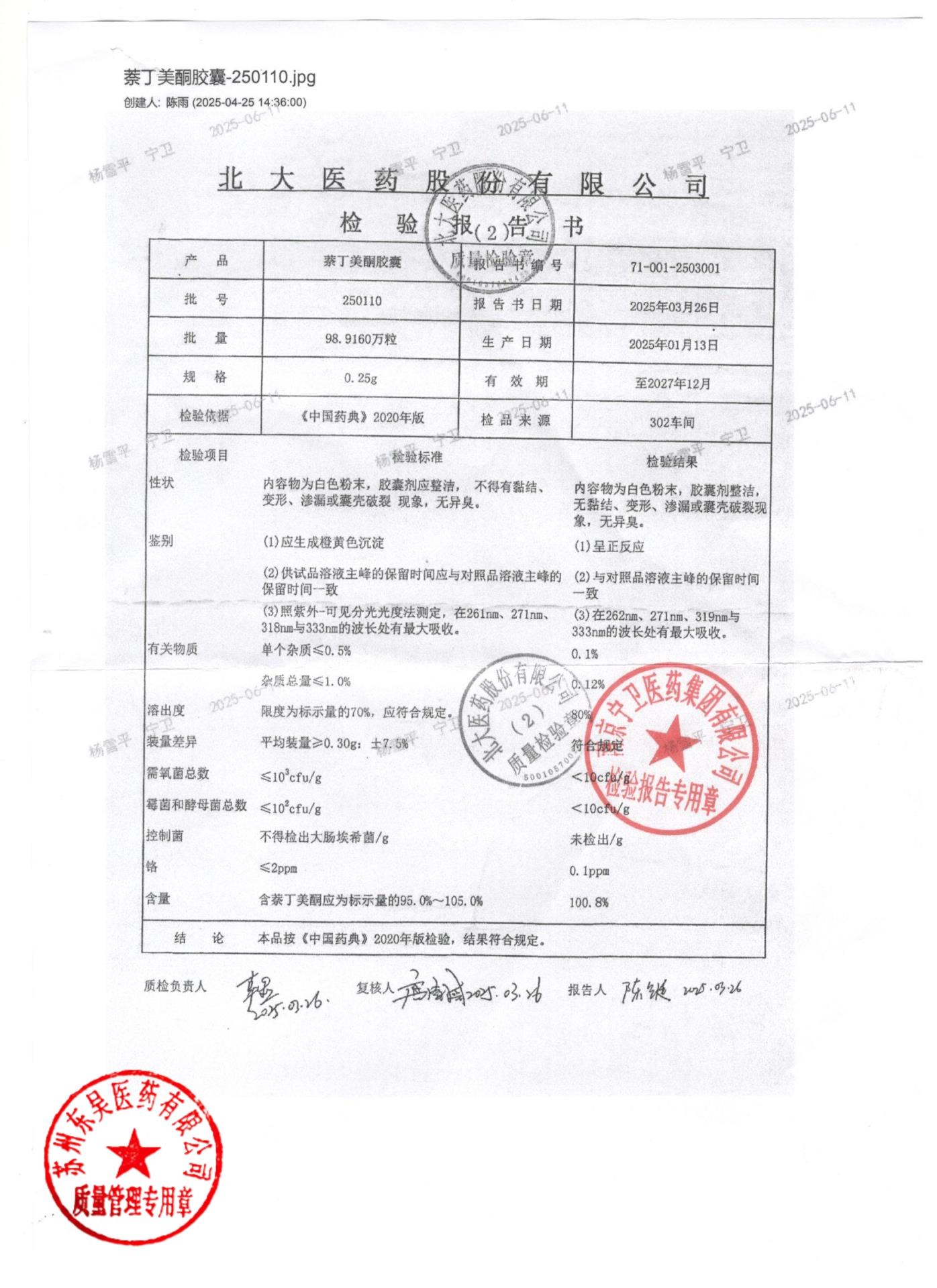 250110萘丁美酮胶囊