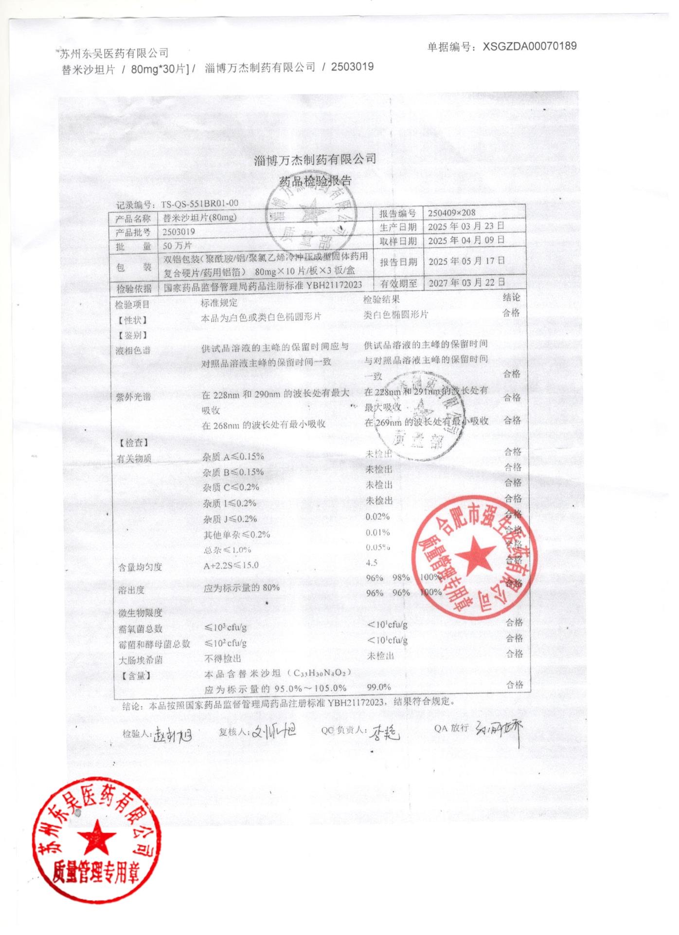 2503019替米沙坦片