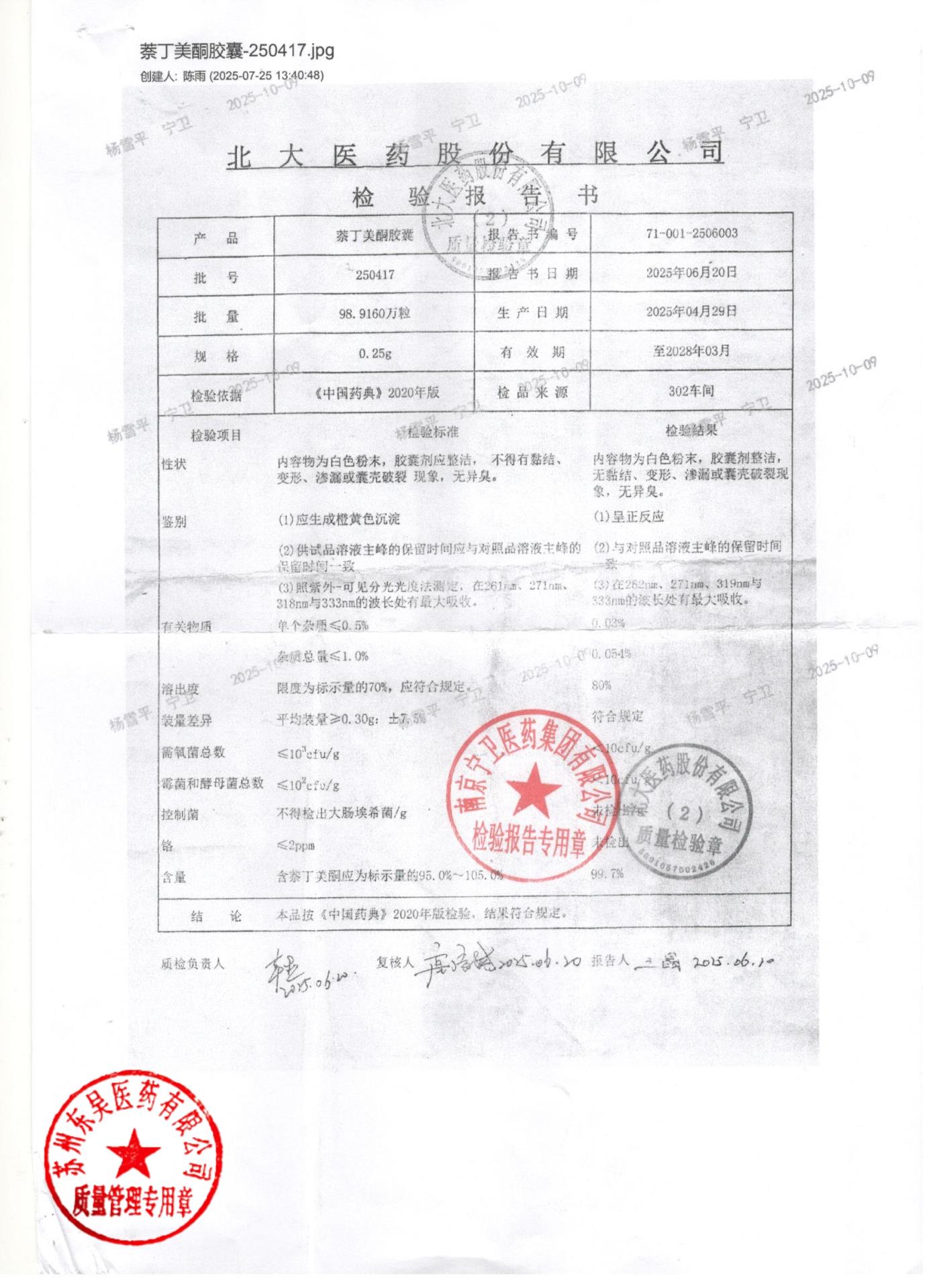 250417萘丁美酮胶囊