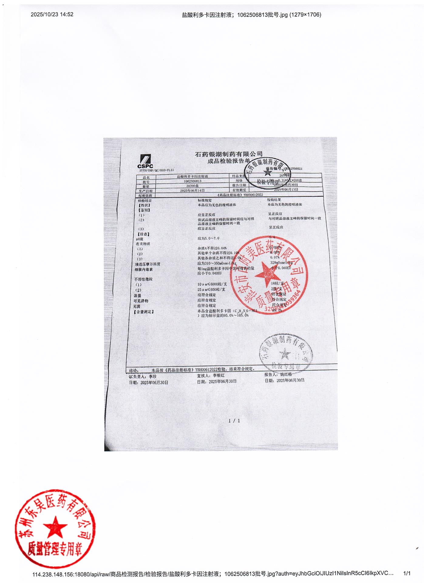 1062506813盐酸利多卡因注射液