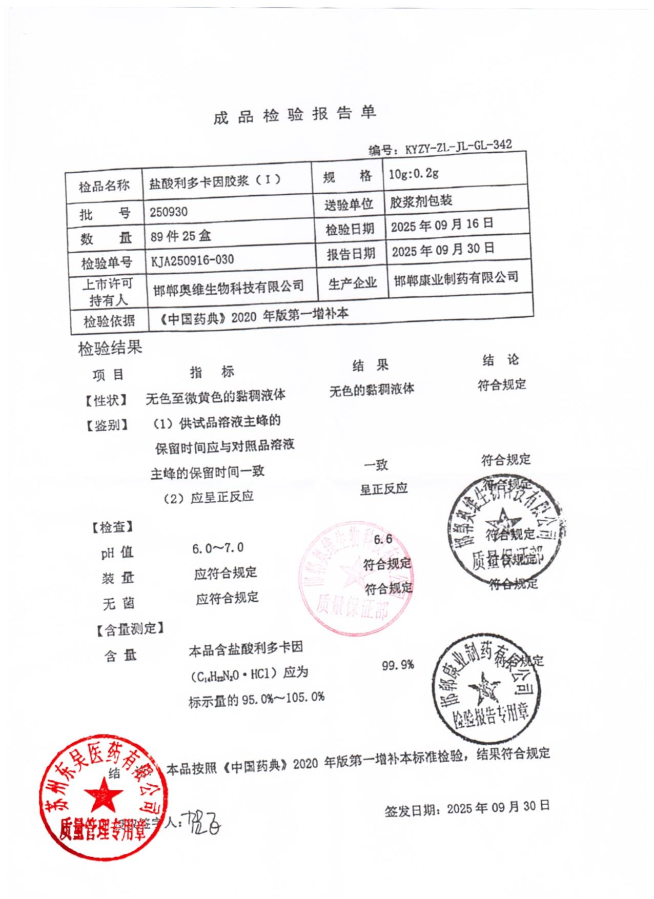 250930盐酸利多卡因胶浆（I）