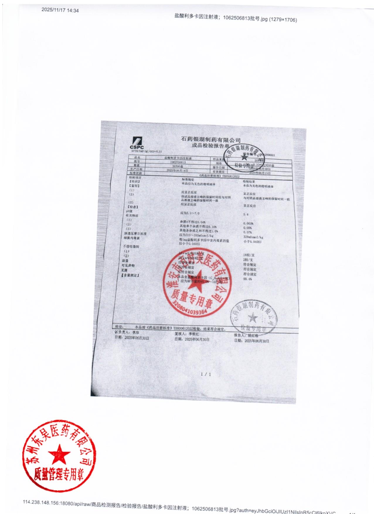 1062506813盐酸利多卡因注射液