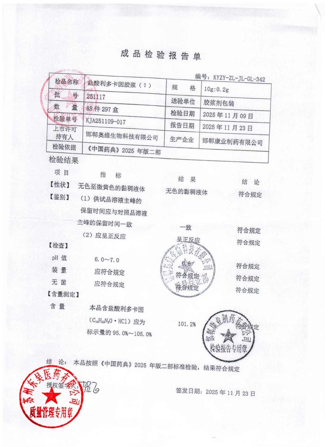 251117盐酸利多卡因胶浆