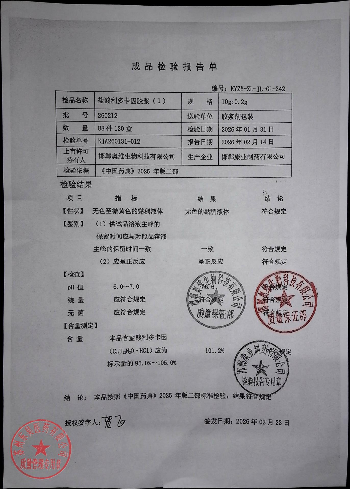 260212盐酸利多卡因胶浆（I）